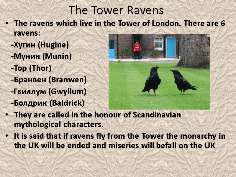 The Tower Ravens  The ravens which live in the Tower of London. There